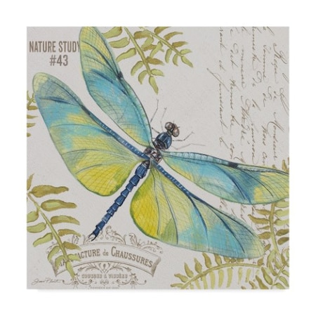 Jean Plout 'Botanical Dragonfly 2' Canvas Art,24x24